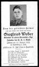 Weber-Siegfried